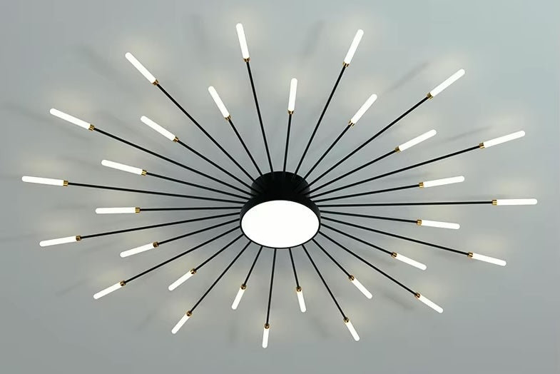 Firework/Sunburst Ceiling Light