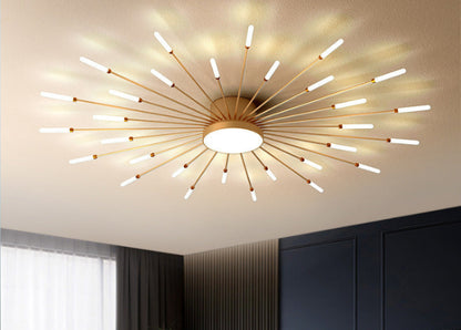 Firework/Sunburst Ceiling Light